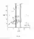 Fig. 06 - Poly-cyanostilbene macrocycles