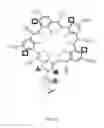 Fig. 14 - Poly-cyanostilbene macrocycles