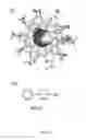 Fig. 22 - Poly-cyanostilbene macrocycles
