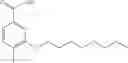 Fig. 35 - Poly-cyanostilbene macrocycles