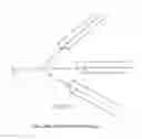 Fig. 10 - Branched discrete PEG constructs