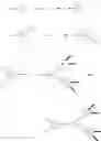 Fig. 104 - Branched discrete PEG constructs