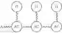 Fig. 121 - Branched discrete PEG constructs