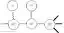 Fig. 164 - Branched discrete PEG constructs