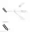 Fig. 18 - Branched discrete PEG constructs