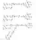 Fig. 25 - Branched discrete PEG constructs