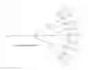 Fig. 38 - Branched discrete PEG constructs