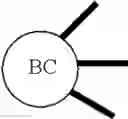 Fig. 42 - Branched discrete PEG constructs