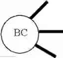 Fig. 45 - Branched discrete PEG constructs