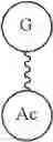 Fig. 51 - Branched discrete PEG constructs
