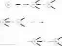 Fig. 56 - Branched discrete PEG constructs