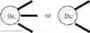 Fig. 65 - Branched discrete PEG constructs