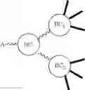 Fig. 74 - Branched discrete PEG constructs