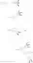 Fig. 84 - Branched discrete PEG constructs