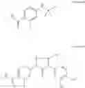 Fig. 22 - Process for the preparation of Enzalutamide