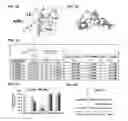 Fig. 08 - Methods and compositions related to retinoid receptor-selective pathway