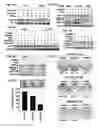 Fig. 09 - Methods and compositions related to retinoid receptor-selective pathway