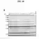 Fig. 03 - LACTONE COMPOUNDS AND METHODS OF MAKING AND USING SAME