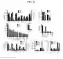 Fig. 14 - LACTONE COMPOUNDS AND METHODS OF MAKING AND USING SAME