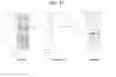 Fig. 20 - LACTONE COMPOUNDS AND METHODS OF MAKING AND USING SAME