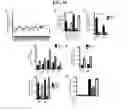 Fig. 23 - LACTONE COMPOUNDS AND METHODS OF MAKING AND USING SAME
