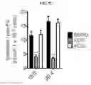 Fig. 25 - LACTONE COMPOUNDS AND METHODS OF MAKING AND USING SAME