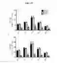 Fig. 28 - LACTONE COMPOUNDS AND METHODS OF MAKING AND USING SAME