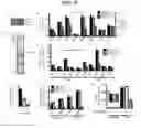 Fig. 34 - LACTONE COMPOUNDS AND METHODS OF MAKING AND USING SAME