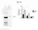 Fig. 38 - LACTONE COMPOUNDS AND METHODS OF MAKING AND USING SAME