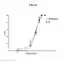 Fig. 03 - Agonists of the mu opioid receptor