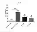 Fig. 06 - Agonists of the mu opioid receptor