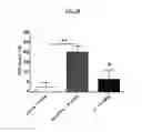 Fig. 07 - Agonists of the mu opioid receptor