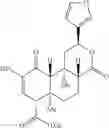 Fig. 22 - Agonists of the mu opioid receptor