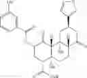 Fig. 30 - Agonists of the mu opioid receptor
