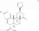 Fig. 76 - Agonists of the mu opioid receptor