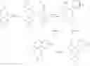 Fig. 08 - Cis-tetrahydro-spiro(cyclohexane-1,1?-pyrido[3,4-b]indole)-4-amine Compounds