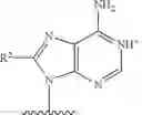 Fig. 48 - MUTAGENIC NUCLEOSIDE ANALOGS AND USES THEREOF