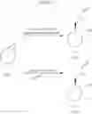 Fig. 112 - INHIBITORS OF HEPATITIS C VIRUS