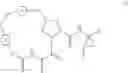 Fig. 209 - INHIBITORS OF HEPATITIS C VIRUS