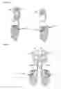 Fig. 08 - Glucocorticoid-induced tumor necrosis factor receptor ligand (GITRL) single-chain fusion polypeptides