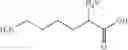Fig. 24 - HEPCIDIN AND MINI-HEPCIDIN ANALOGUES AND USES THEREOF