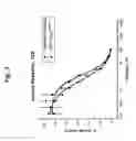 Fig. 04 - INSULIN RECEPTOR PARTIAL AGONISTS