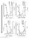 Fig. 05 - INSULIN RECEPTOR PARTIAL AGONISTS