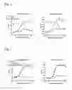 Fig. 07 - INSULIN RECEPTOR PARTIAL AGONISTS