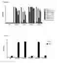 Fig. 06 - Hepatitis C virus specific antibody