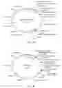 Fig. 02 - RECOMBINANT ANTIBODY COMPOSITIONS AND METHODS OF USE THEREOF