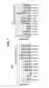 Fig. 09 - Antibodies that specifically bind to TIM3