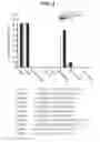 Fig. 04 - Engineered polypeptide conjugates and methods for making thereof using transglutaminase