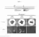 Fig. 09 - Production method for retinal tissue