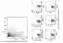 Fig. 01 - MULTIPOTENT STEM CELLS AND USES THEREOF